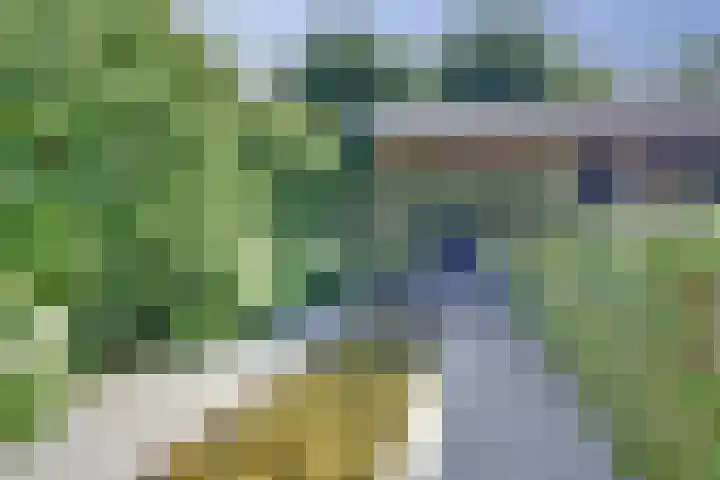 Bodepad 7 Hilvarenbeek thumbnail 36