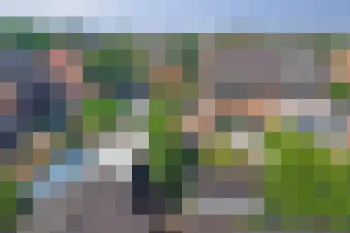 Bodepad 7 Hilvarenbeek thumbnail 37