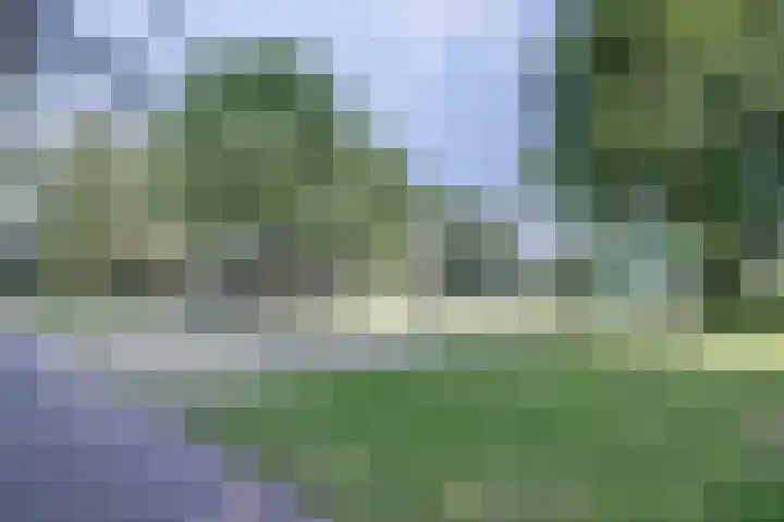 Bodepad 7 Hilvarenbeek thumbnail 39