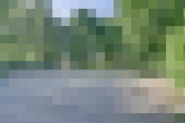 Bodepad 7 Hilvarenbeek thumbnail 40