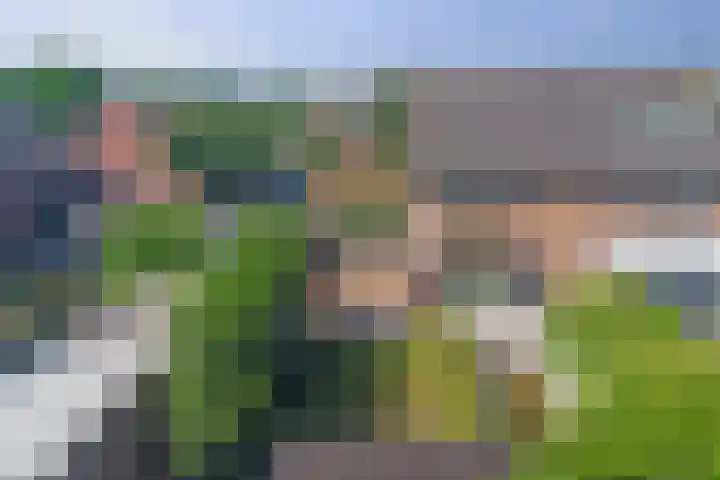 Bodepad 7 Hilvarenbeek thumbnail 5