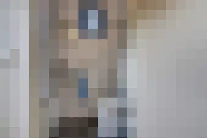 Bodepad 7 Hilvarenbeek thumbnail 8