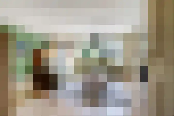 Bodepad 7 Hilvarenbeek thumbnail 9
