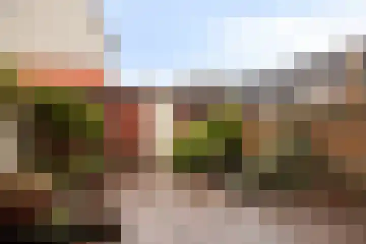 Bodohout 63 Zoetermeer thumbnail 10