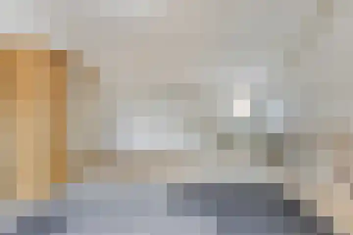 Bodohout 63 Zoetermeer thumbnail 22
