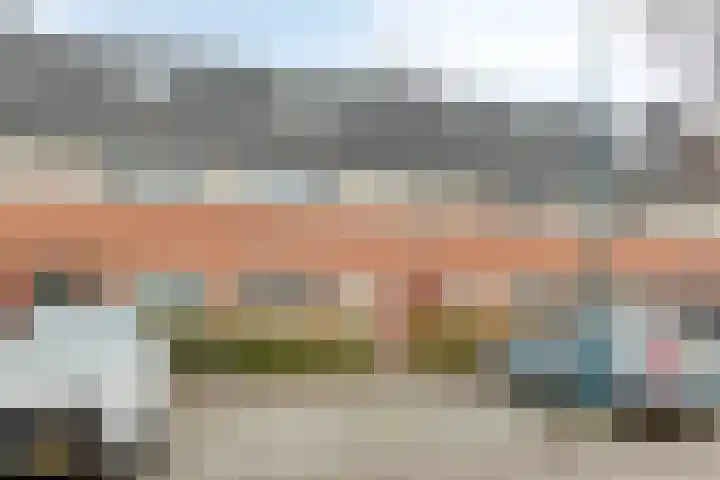 Bodohout 63 Zoetermeer thumbnail 23