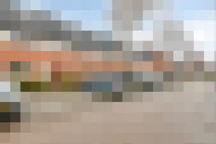 Bodohout 63 Zoetermeer thumbnail 24
