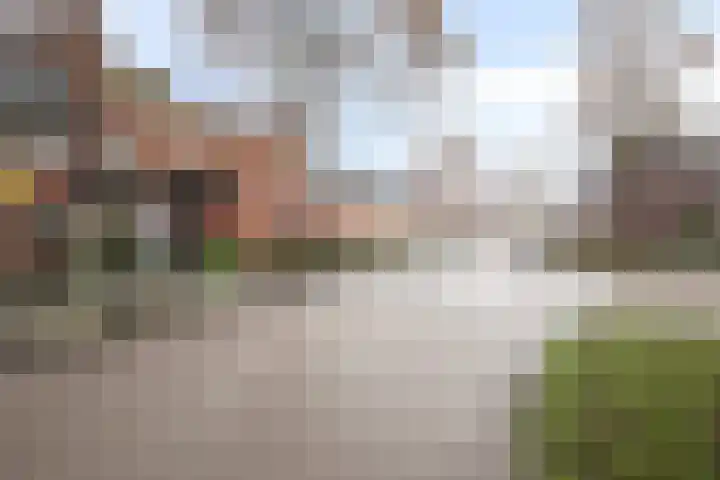 Bodohout 63 Zoetermeer thumbnail 26