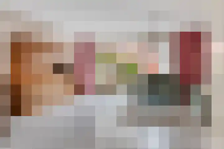 Bodohout 63 Zoetermeer thumbnail 5