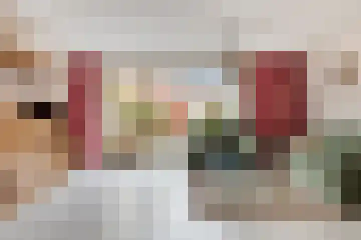 Bodohout 63 Zoetermeer thumbnail 6