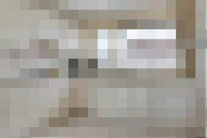 Bodohout 63 Zoetermeer thumbnail 9