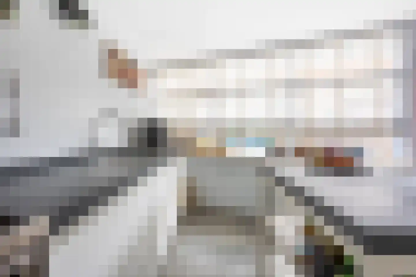 Bodohout 9 Zoetermeer thumbnail 12
