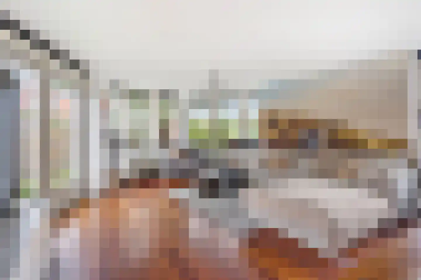 Bodohout 9 Zoetermeer thumbnail 4