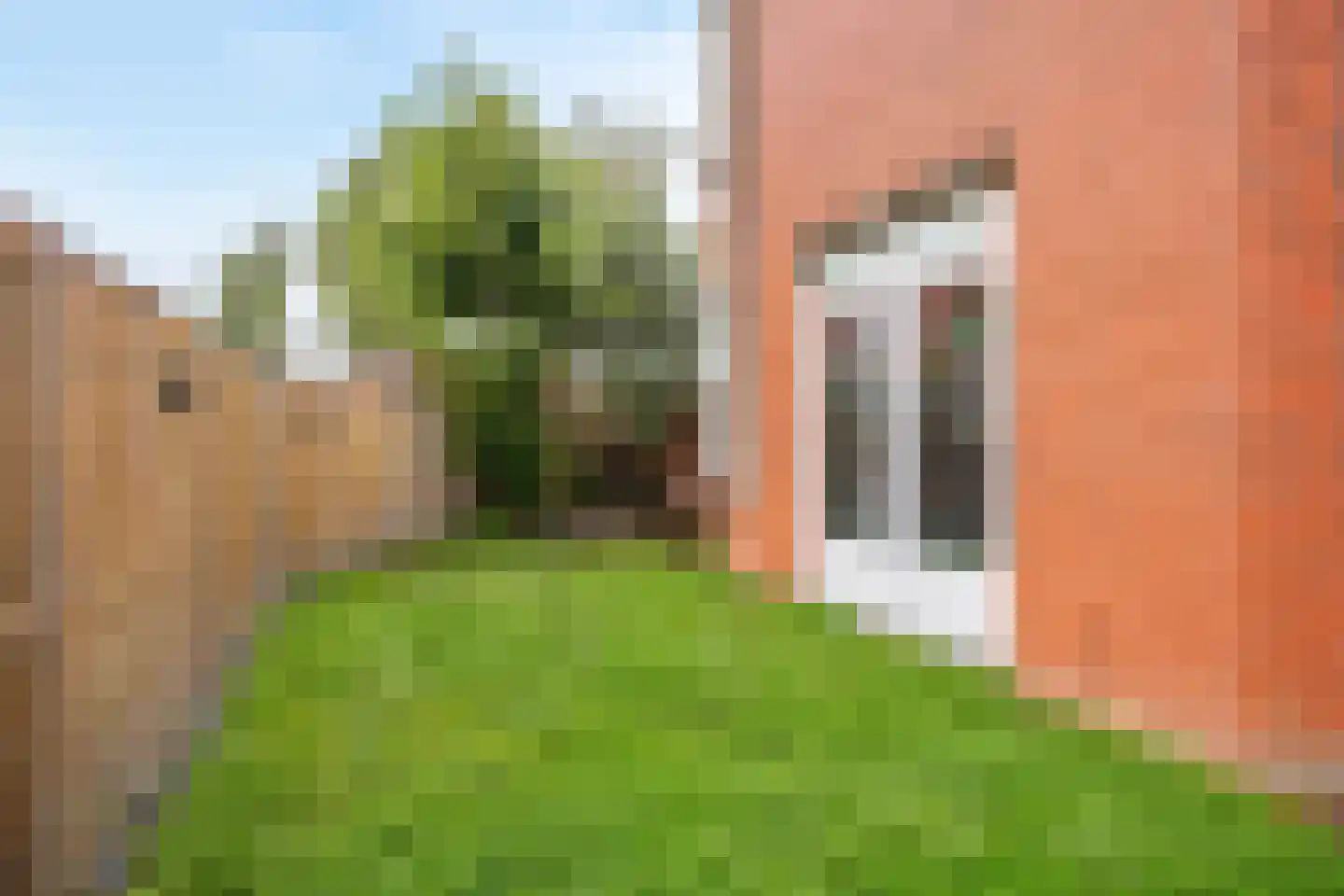Bodohout 9 Zoetermeer thumbnail 40
