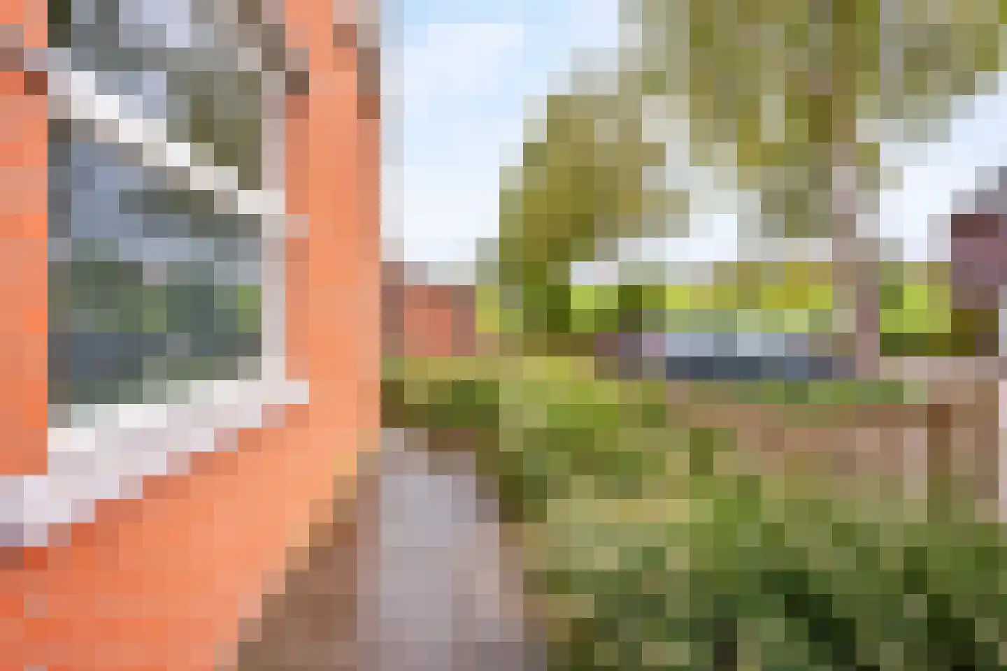 Bodohout 9 Zoetermeer thumbnail 46