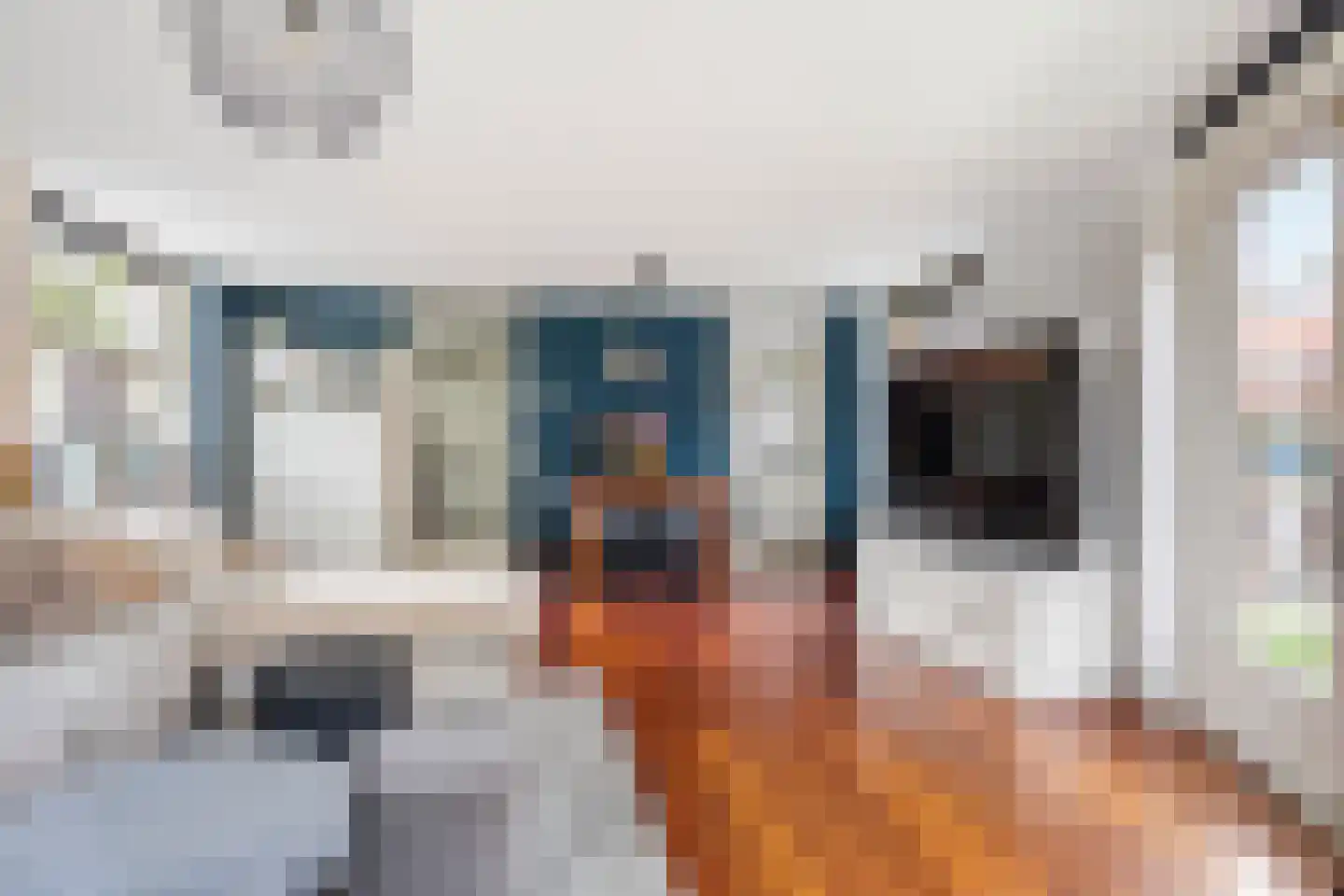 Bodohout 9 Zoetermeer thumbnail 5