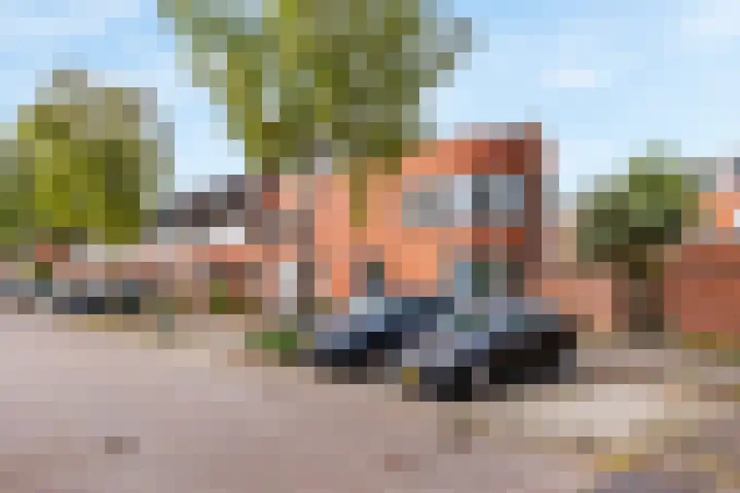 Bodohout 9 Zoetermeer thumbnail 50