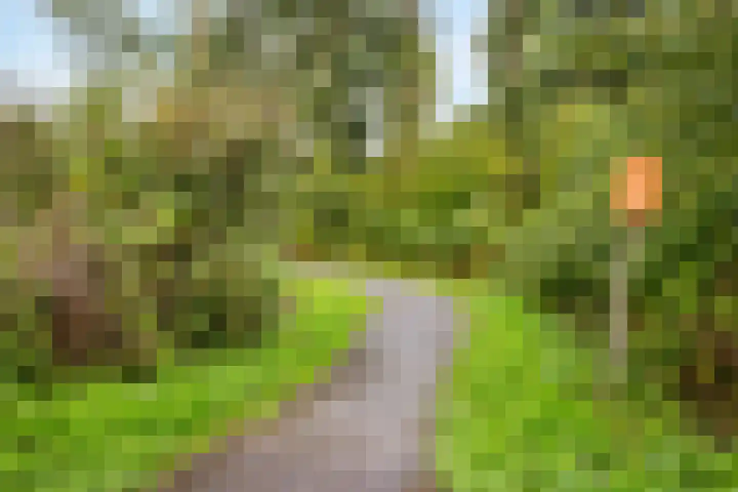Bodohout 9 Zoetermeer thumbnail 55