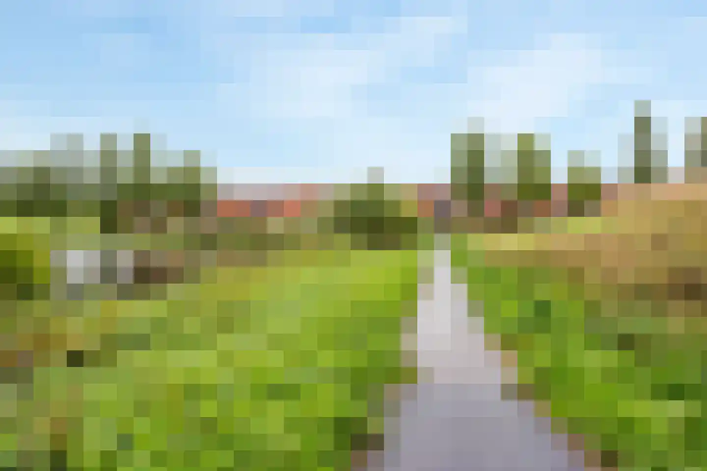 Bodohout 9 Zoetermeer thumbnail 56