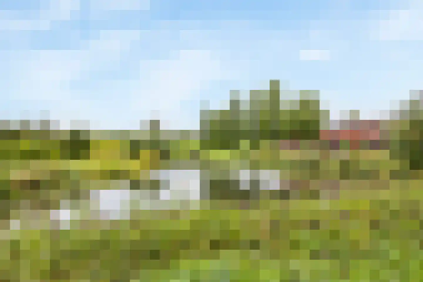 Bodohout 9 Zoetermeer thumbnail 57