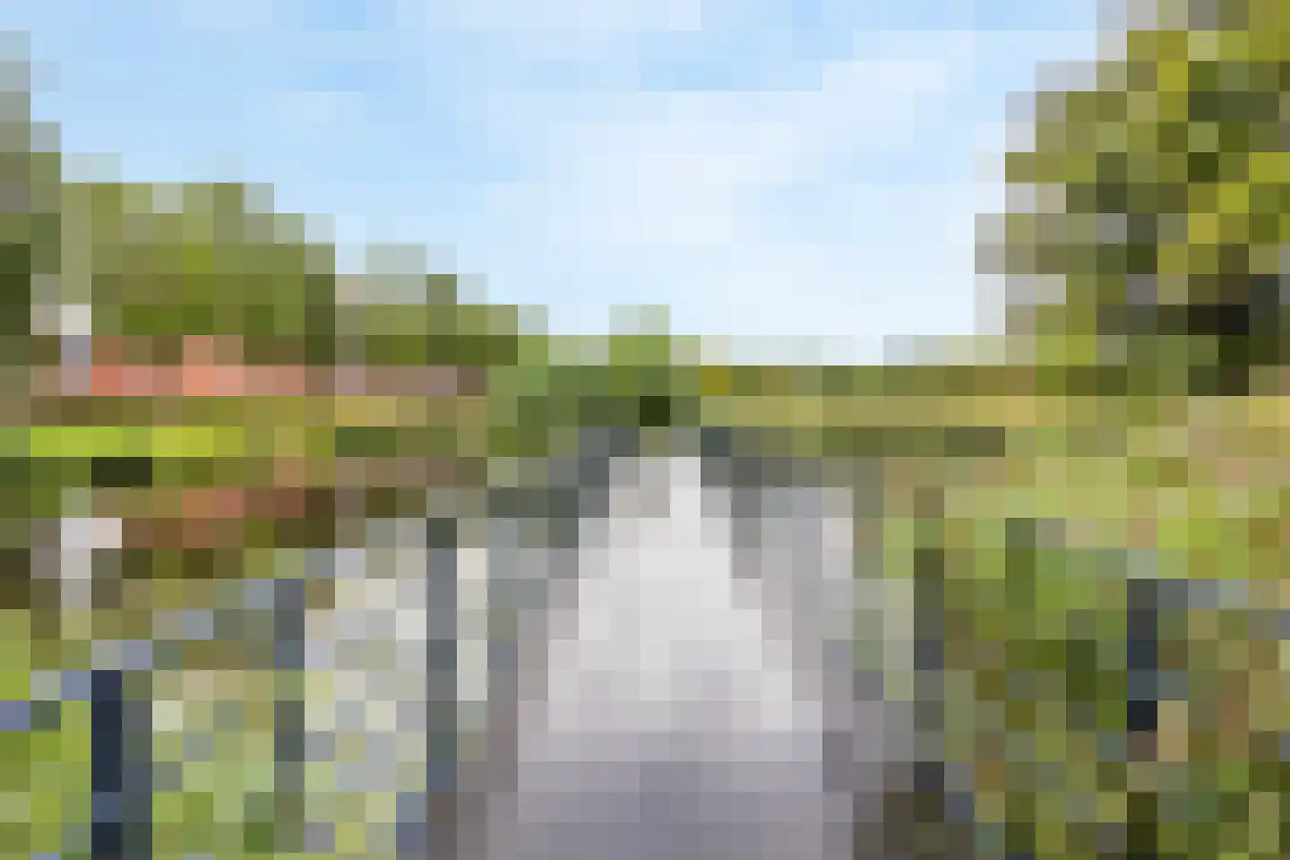 Bodohout 9 Zoetermeer thumbnail 58