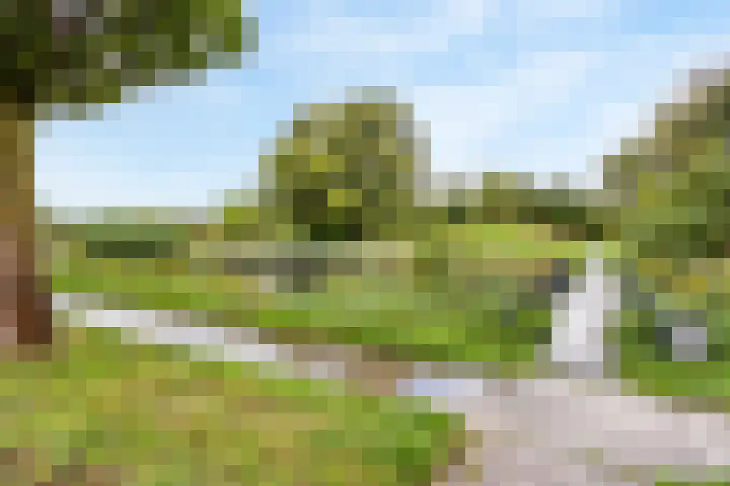 Bodohout 9 Zoetermeer thumbnail 59