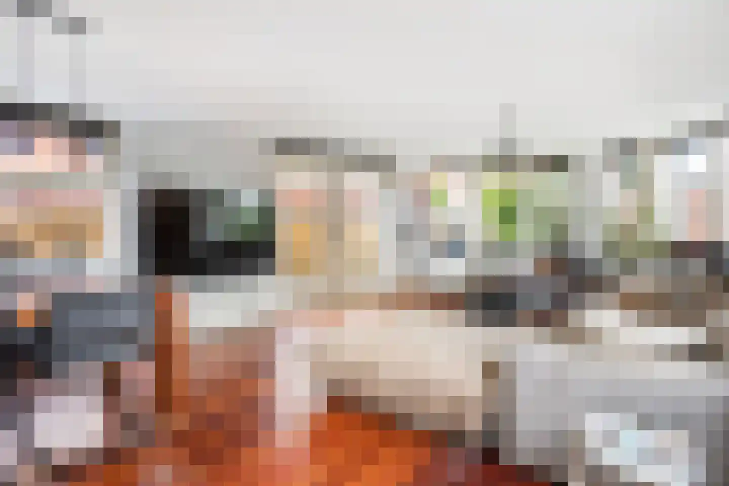 Bodohout 9 Zoetermeer thumbnail 7