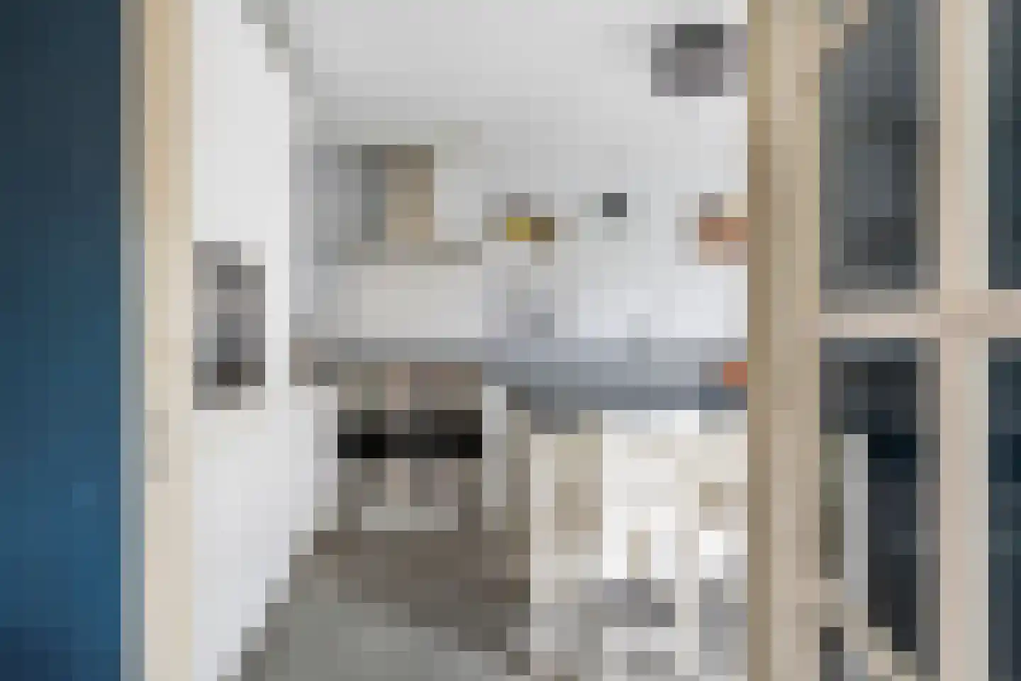 Bodohout 9 Zoetermeer thumbnail 9