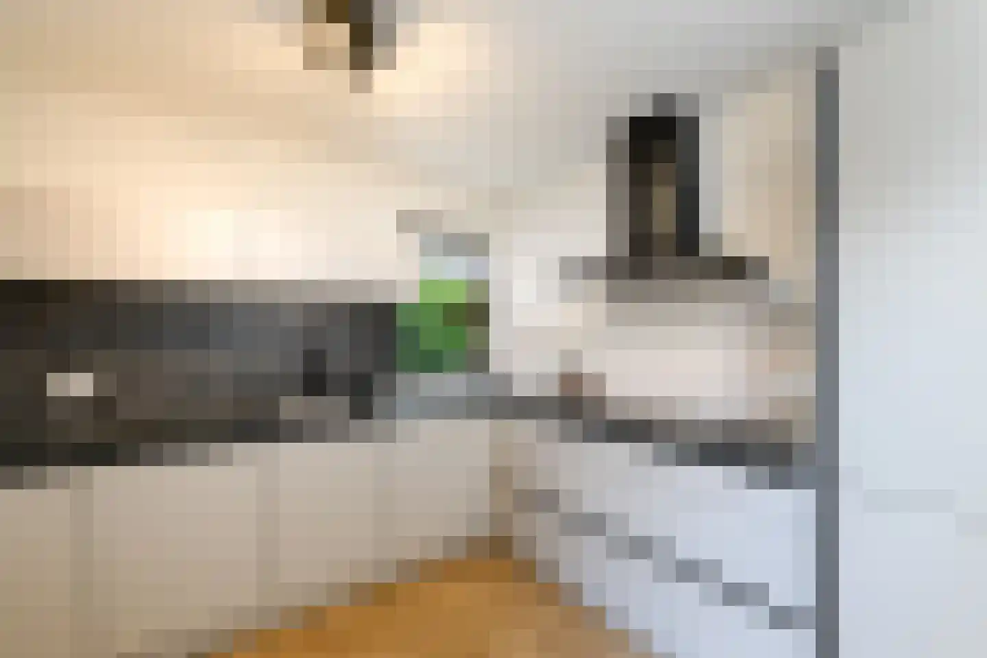 Boech 5 Joure thumbnail 10