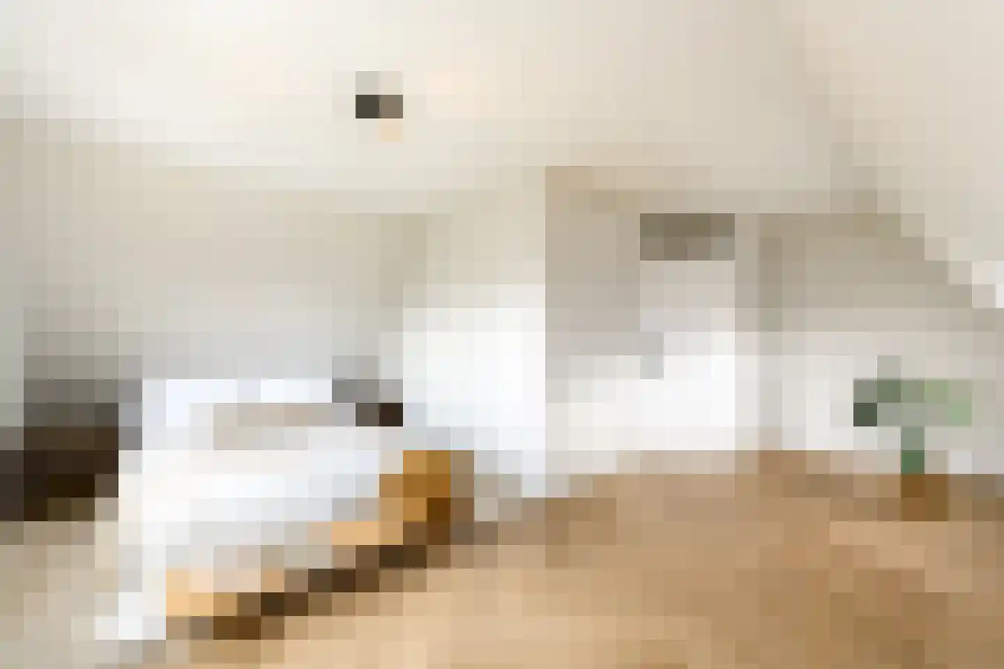 Boech 5 Joure thumbnail 18