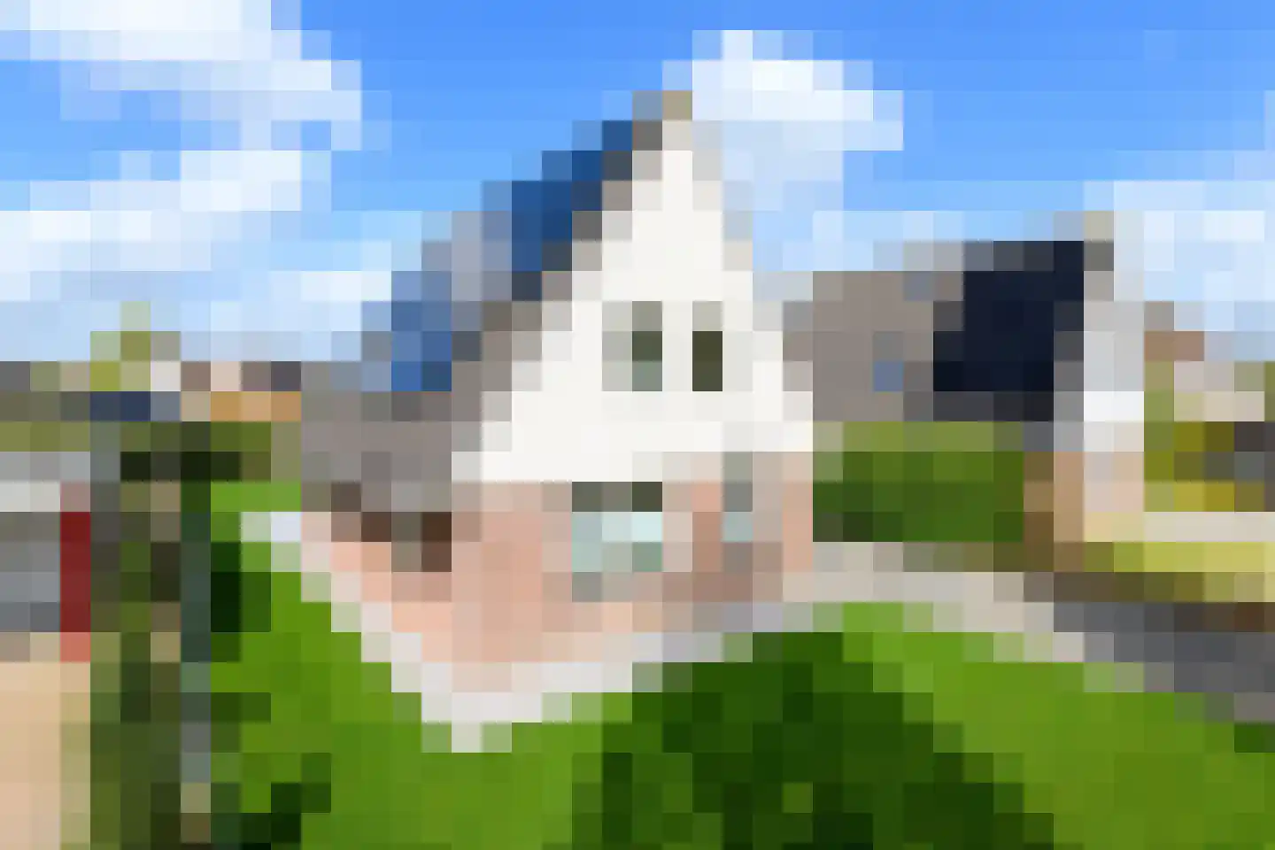 Boech 5 Joure thumbnail 4