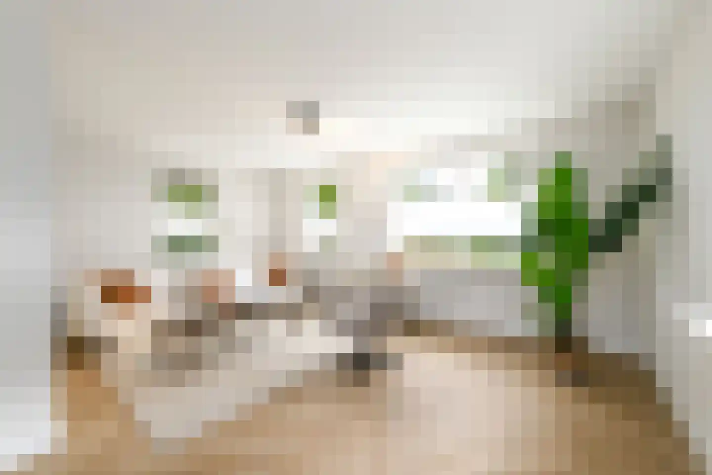 Boech 5 Joure thumbnail 5