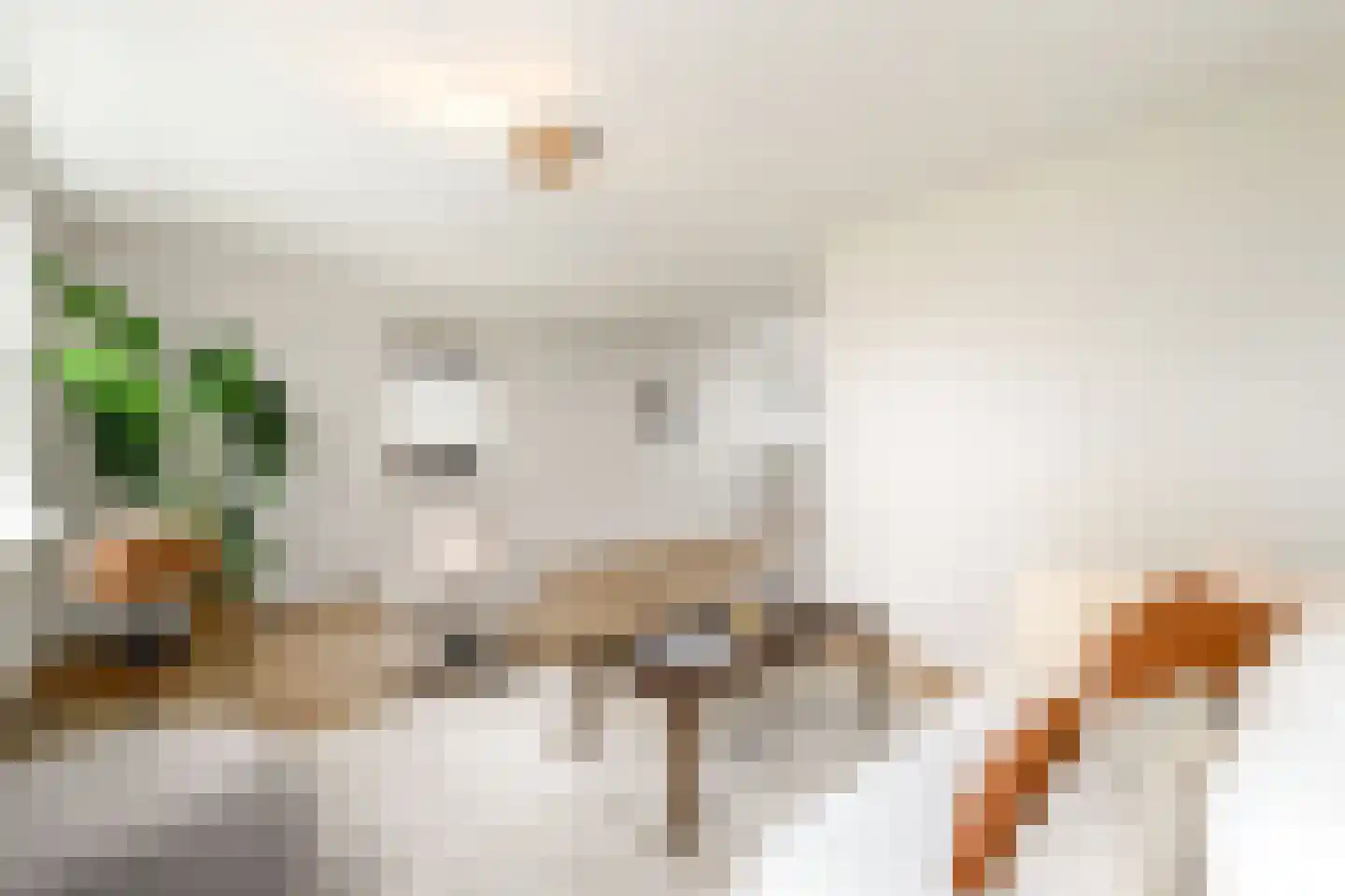 Boech 5 Joure thumbnail 7