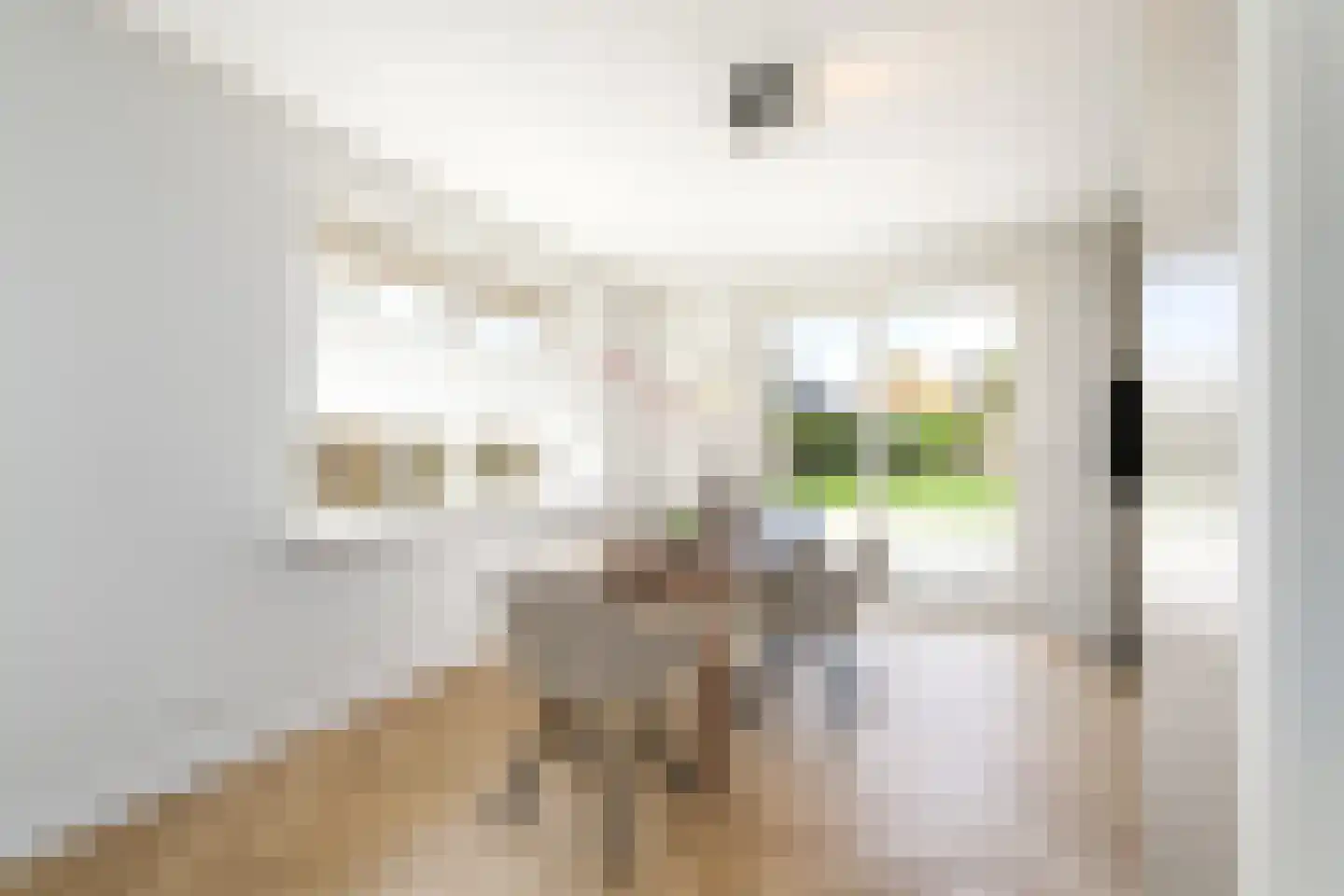 Boech 5 Joure thumbnail 8