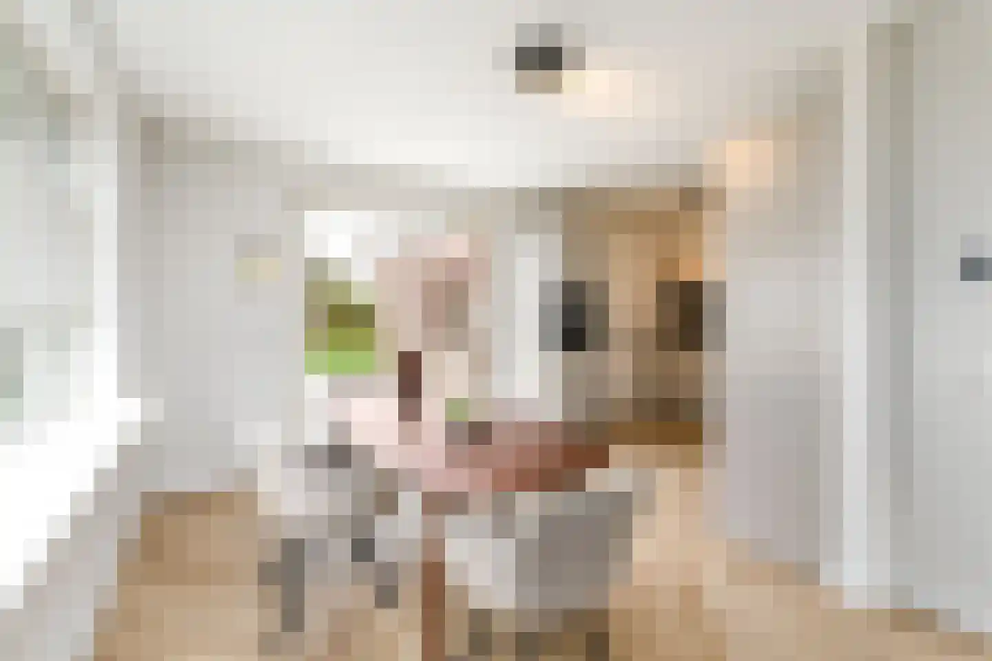 Boech 5 Joure thumbnail 9