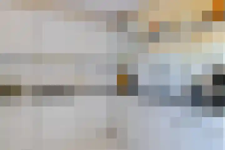 Boech 7 Joure thumbnail 18