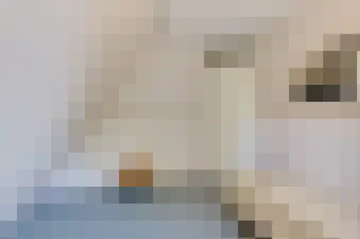 Boech 7 Joure thumbnail 22