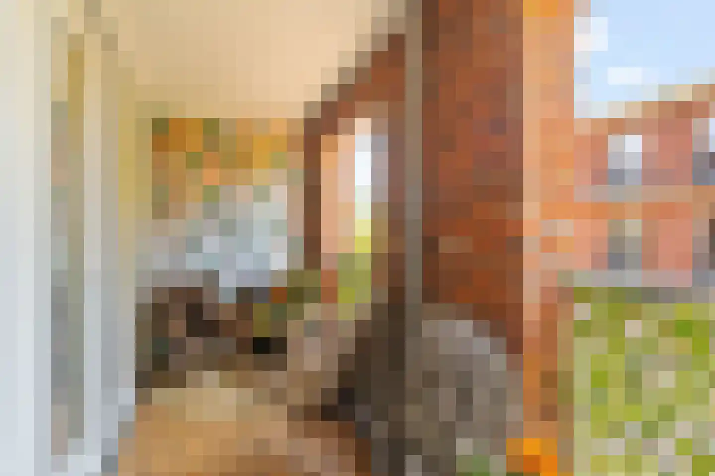 Boechorsthof 75 Noordwijk thumbnail 10