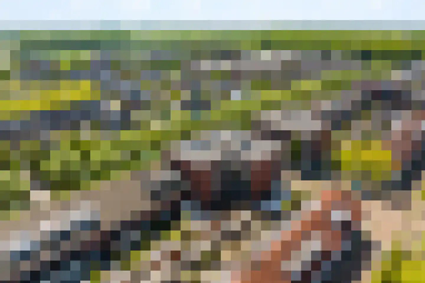 Boechorsthof 75 Noordwijk thumbnail 32