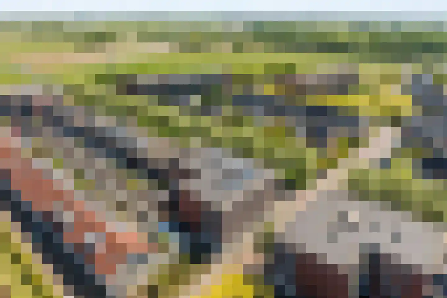 Boechorsthof 75 Noordwijk thumbnail 4