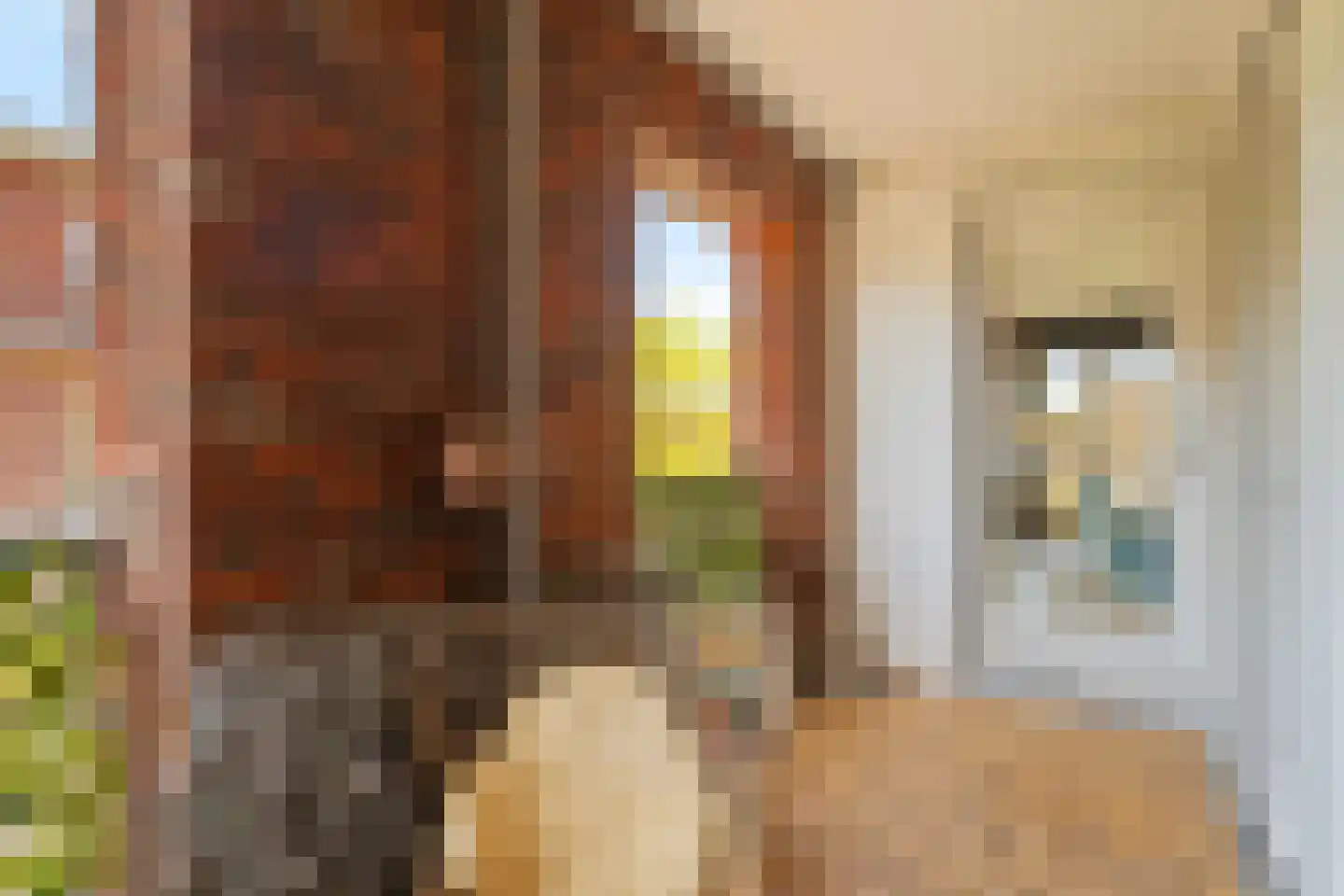 Boechorsthof 75 Noordwijk thumbnail 9