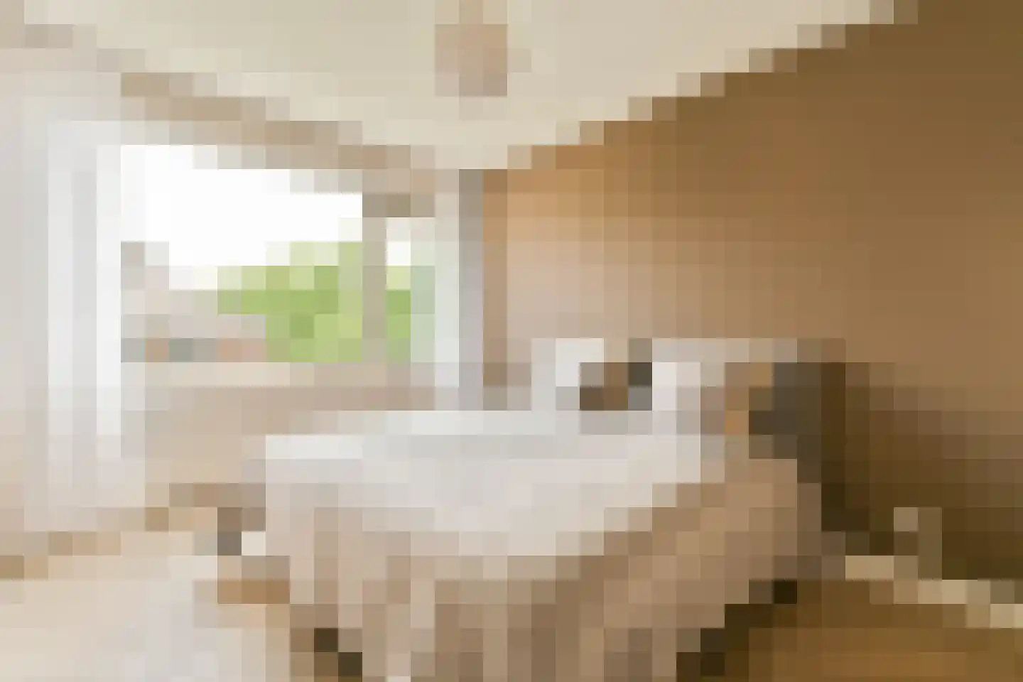 Boeckenburg 19 Amsterdam thumbnail 8