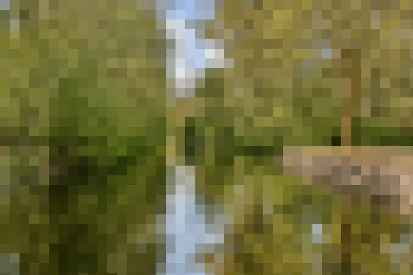 Boeckenburg 45 Amsterdam thumbnail 25