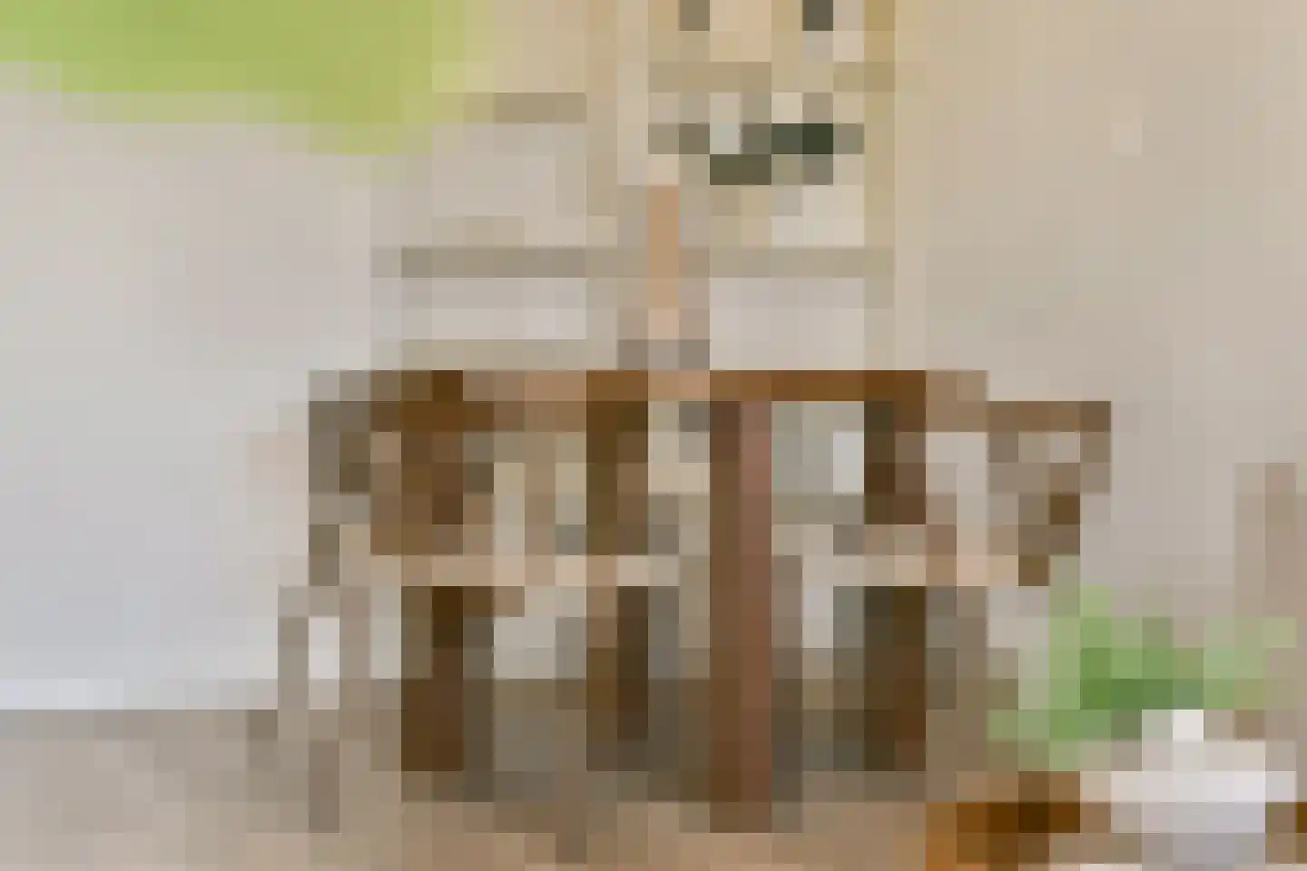 Boeckenburg 45 Amsterdam thumbnail 6