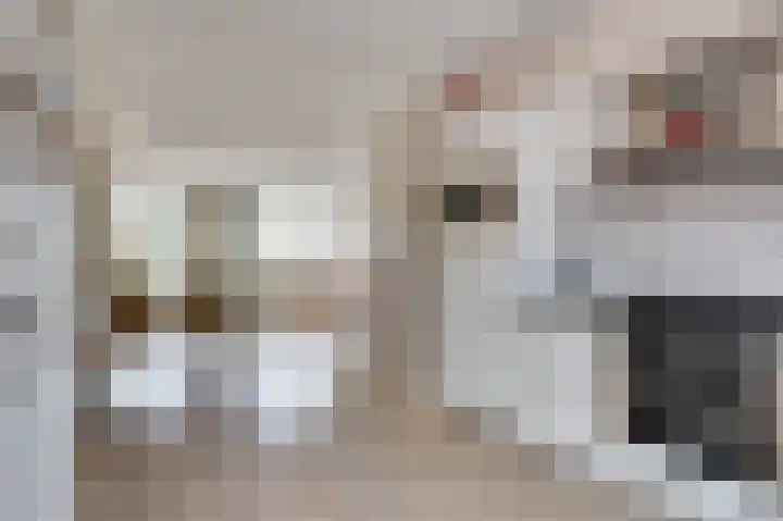 Boeckhorststraat 21 Terborg thumbnail 10