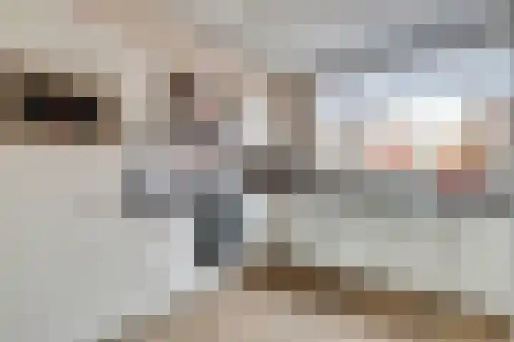 Boeckhorststraat 21 Terborg thumbnail 11