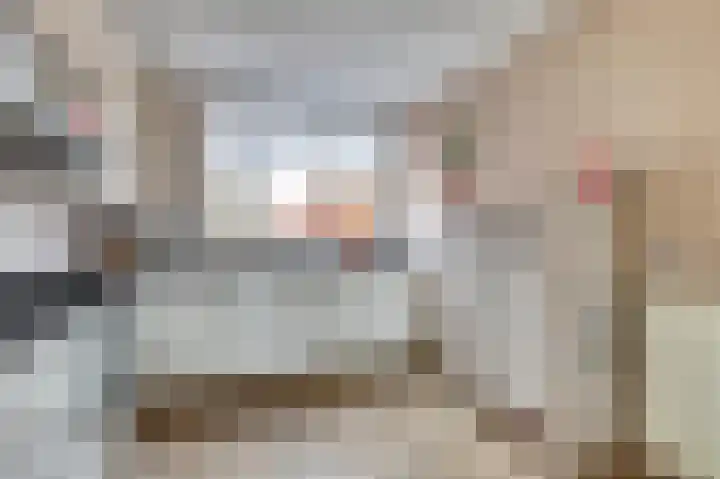 Boeckhorststraat 21 Terborg thumbnail 13