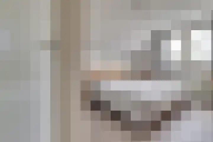Boeckhorststraat 21 Terborg thumbnail 15