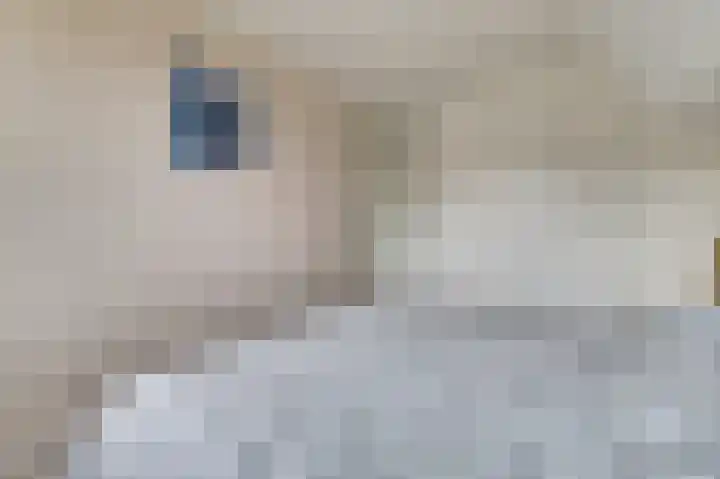 Boeckhorststraat 21 Terborg thumbnail 16