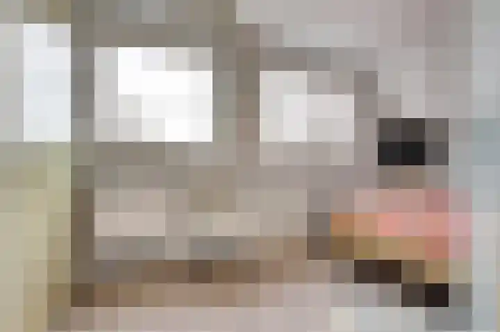 Boeckhorststraat 21 Terborg thumbnail 17